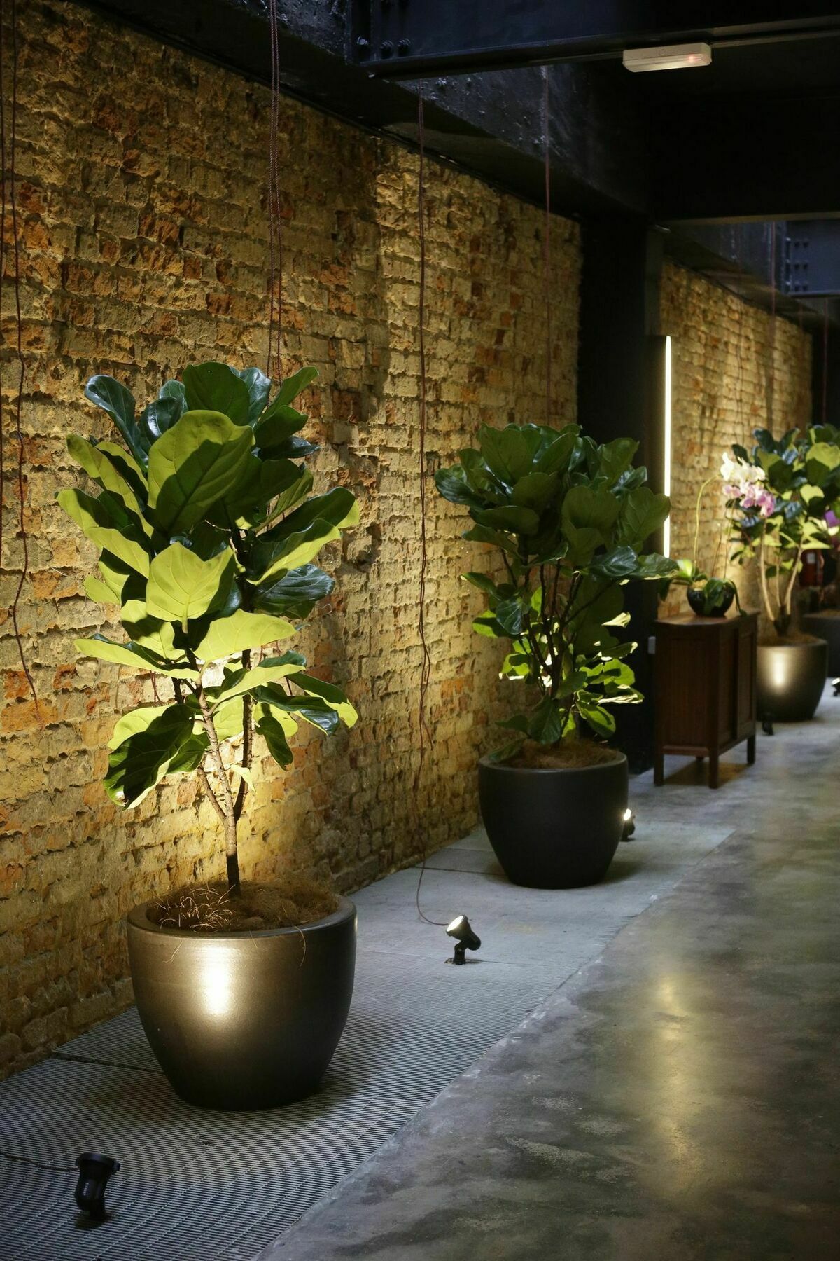 קואלה לומפור Tian Jing Hotel מראה חיצוני תמונה